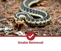 Sams Snake Control Hobart image 2